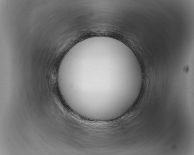 X0000113530040200909181010