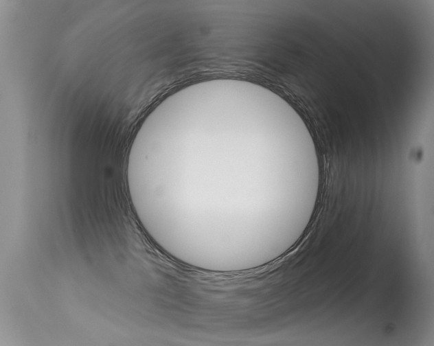 X0000113530041200909181010
