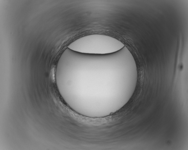 X0000113530042200909181010