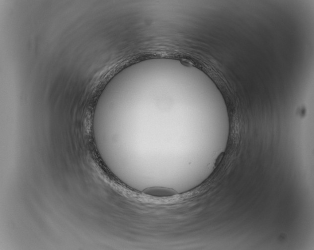 X0000113530043200909181010