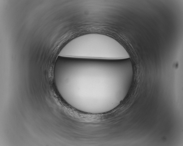X0000113530044200909181010