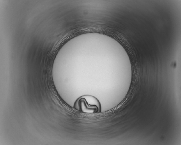 X0000113530045200909181010