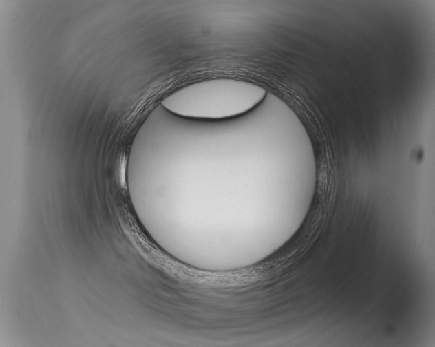 X0000113530046200909181010