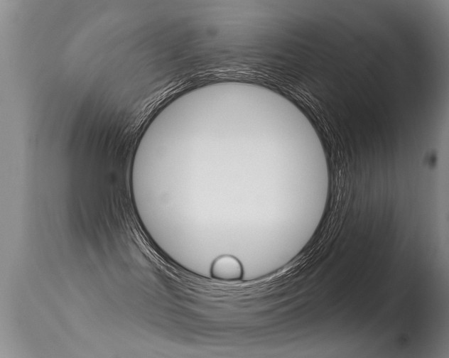 X0000113530047200909181010