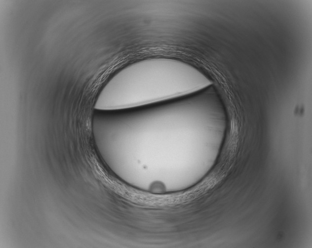 X0000113530048200909181010