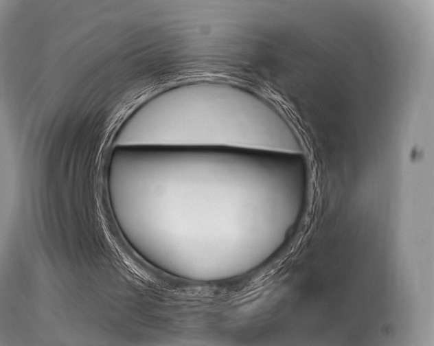 X0000113530049200909181009