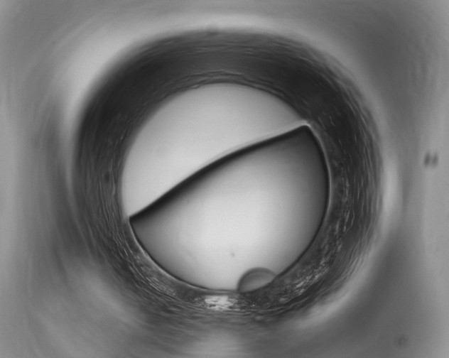X0000113530050200909181009