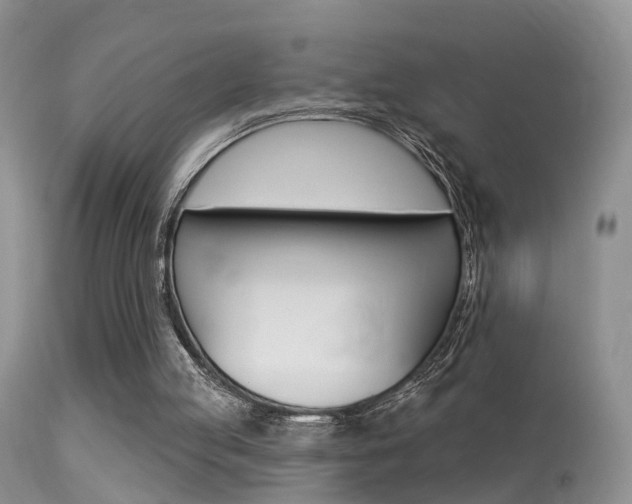 X0000113530053200909181009