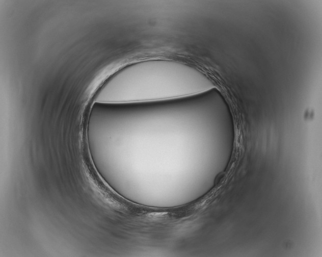 X0000113530054200909181009