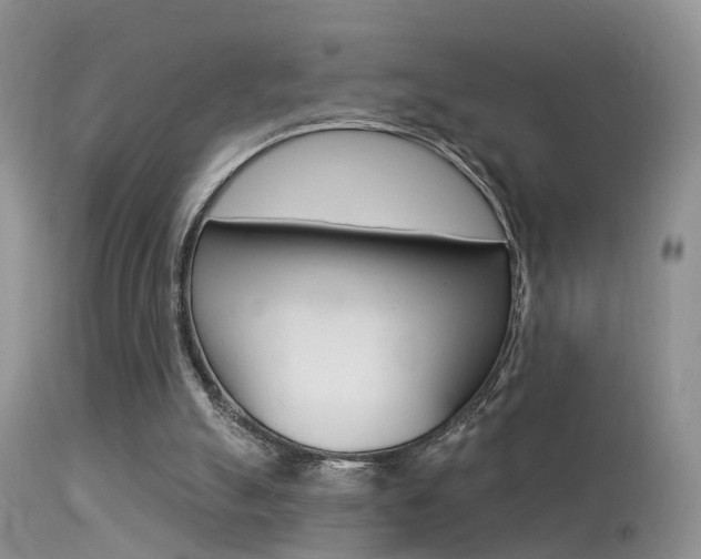 X0000113530055200909181009