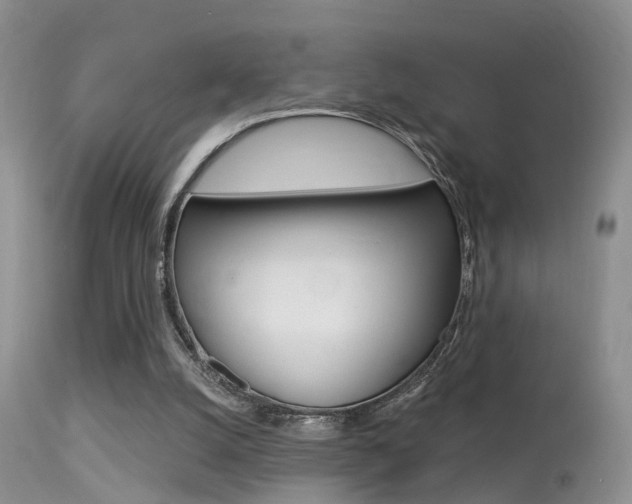 X0000113530056200909181009