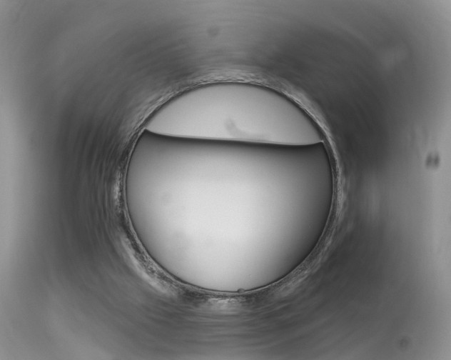 X0000113530057200909181009