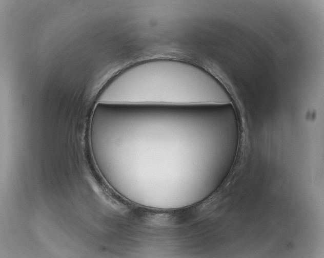 X0000113530058200909181009
