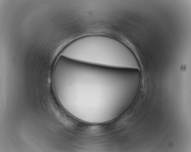 X0000113530059200909181009