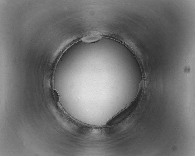 X0000113530060200909181009