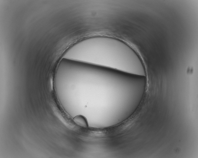 X0000113530061200909181009