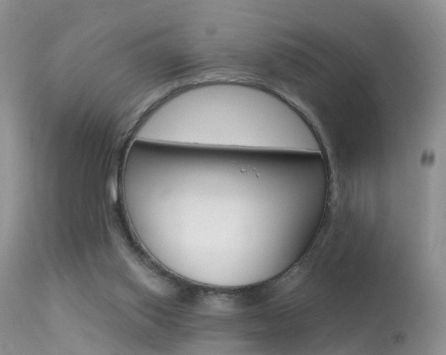 X0000113530062200909181009