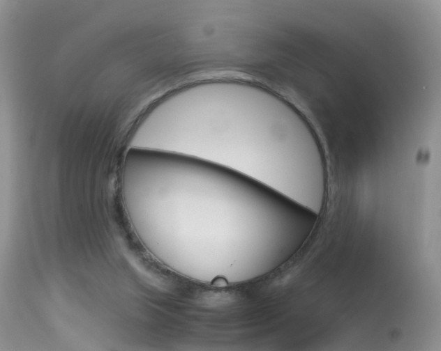 X0000113530063200909181009