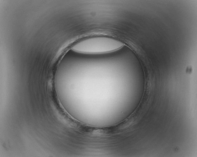 X0000113530064200909181009