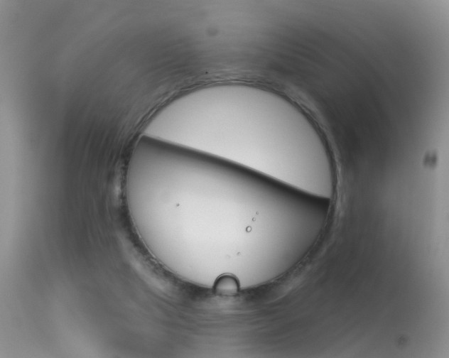 X0000113530065200909181009