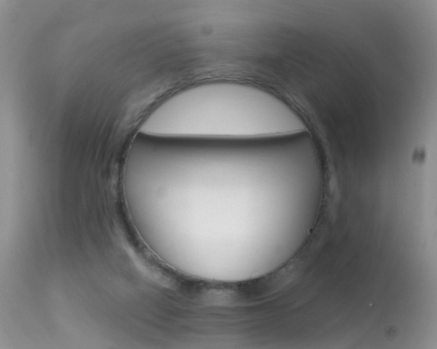 X0000113530066200909181010