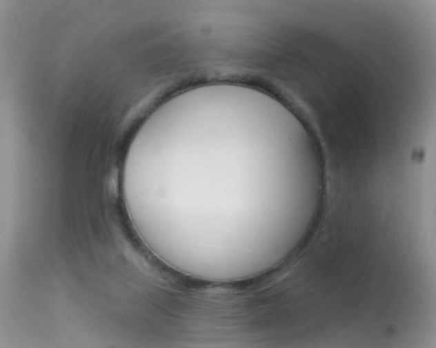 X0000113530067200909181010
