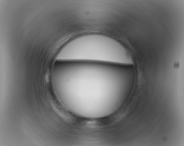 X0000113530068200909181010
