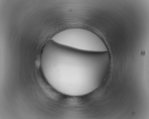 X0000113530069200909181010