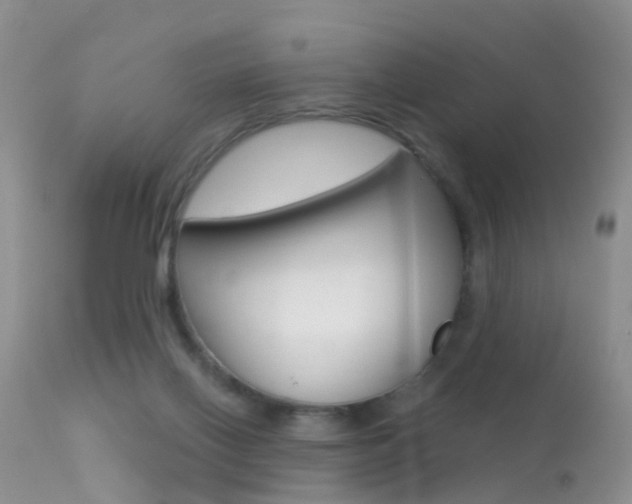 X0000113530070200909181010
