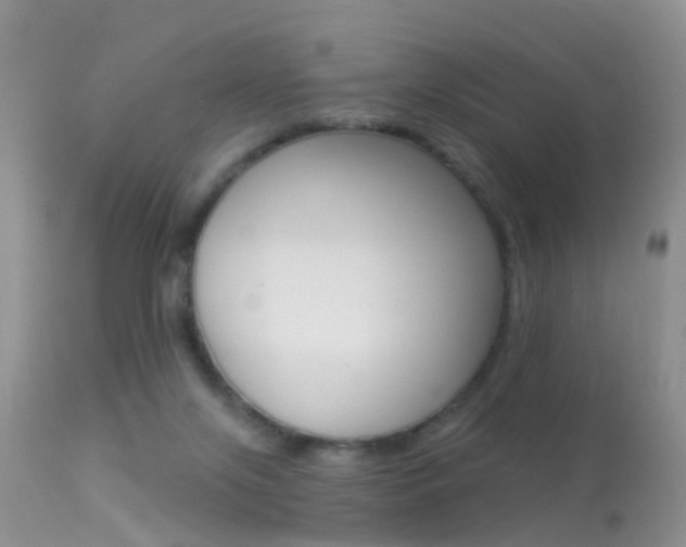 X0000113530071200909181010