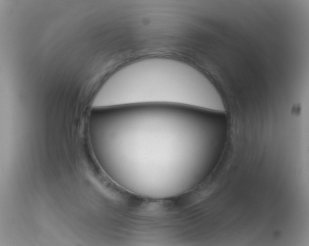 X0000113530072200909181010