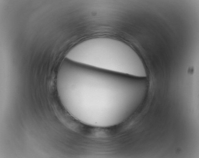 X0000113530073200909181010