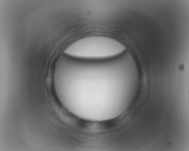 X0000113530074200909181010