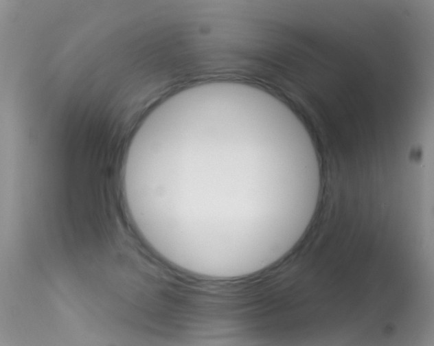 X0000113530076200909181010