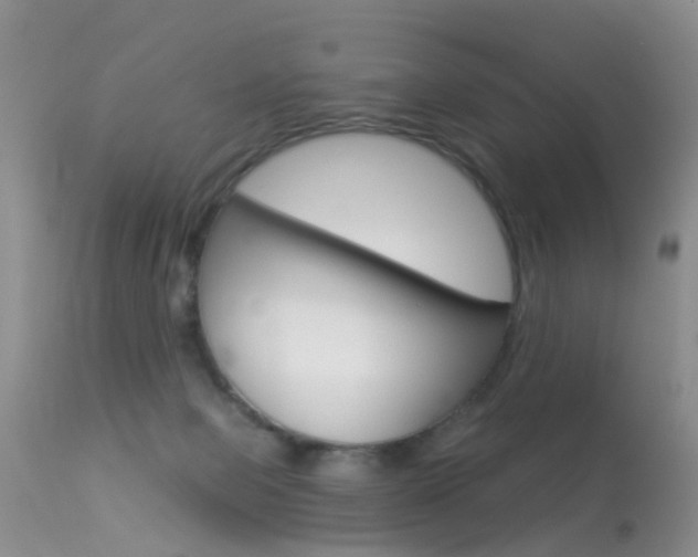 X0000113530077200909181010