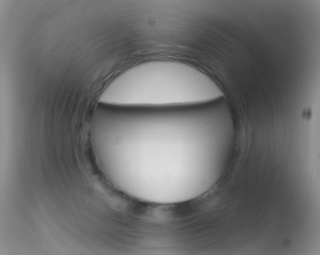 X0000113530078200909181010