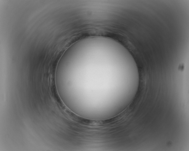 X0000113530080200909181010