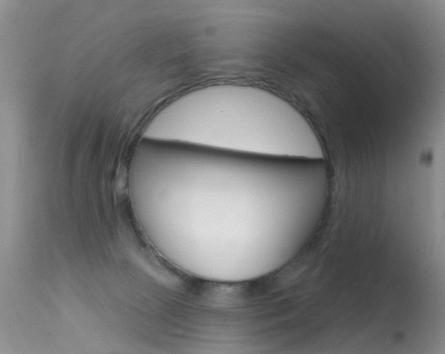 X0000113530081200909181010