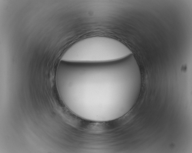 X0000113530082200909181010