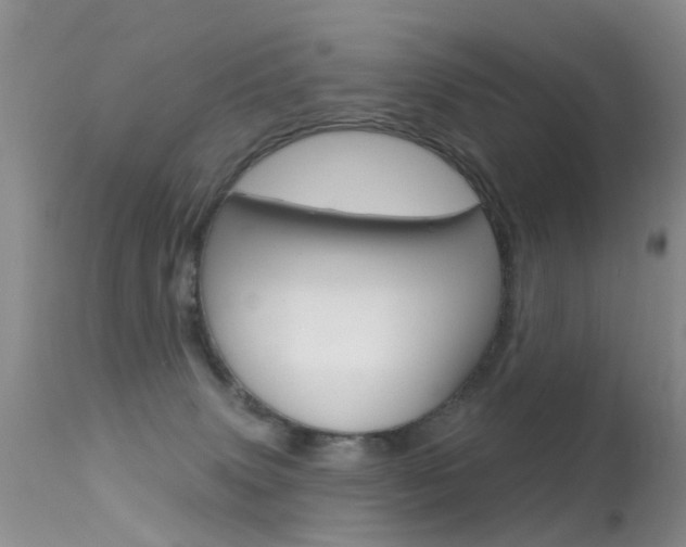 X0000113530083200909181010