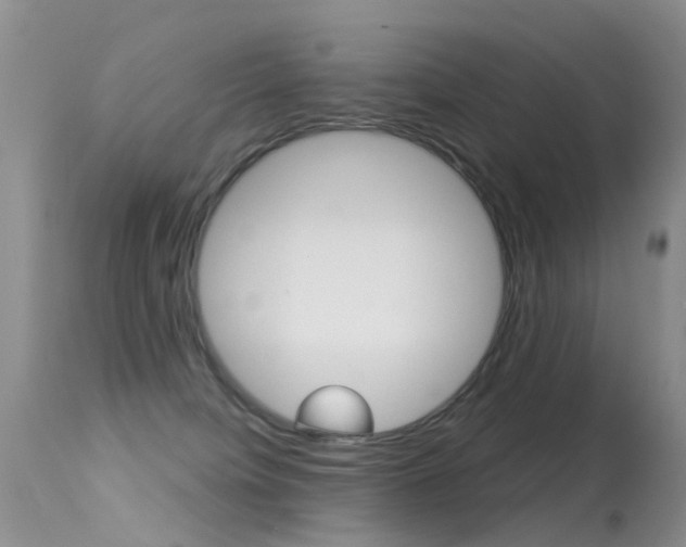 X0000113530084200909181010