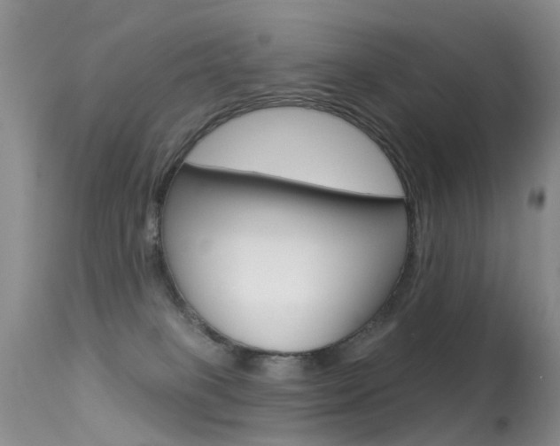 X0000113530085200909181010
