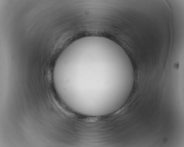 X0000113530086200909181010