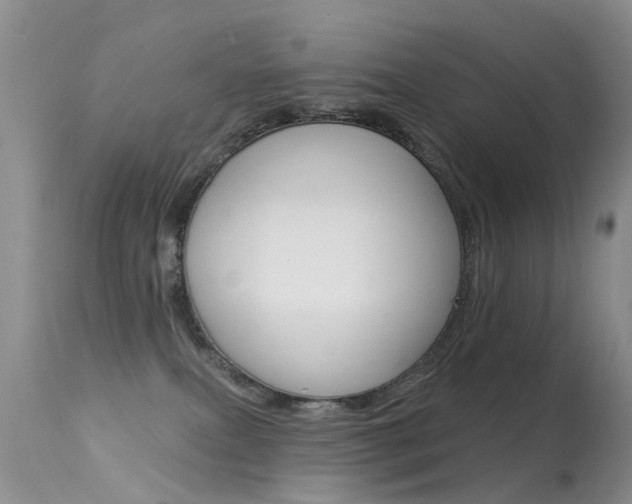 X0000113530087200909181010