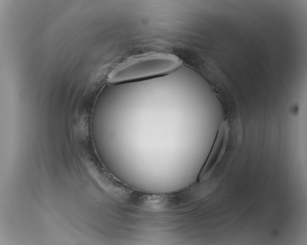 X0000113530088200909181010