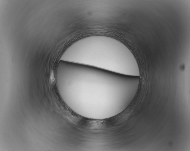 X0000113530089200909181010