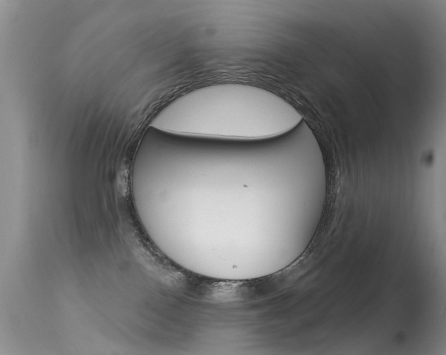 X0000113530090200909181010