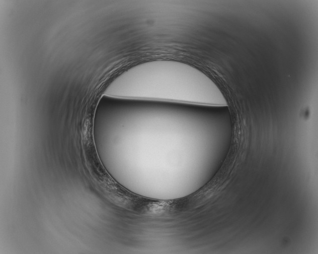 X0000113530092200909181010