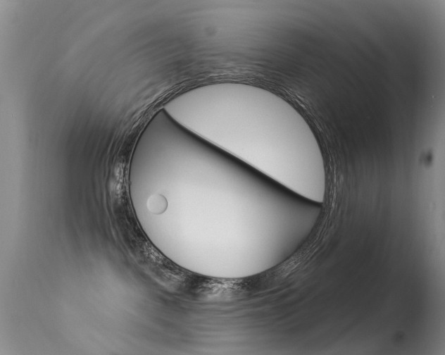 X0000113530093200909181010