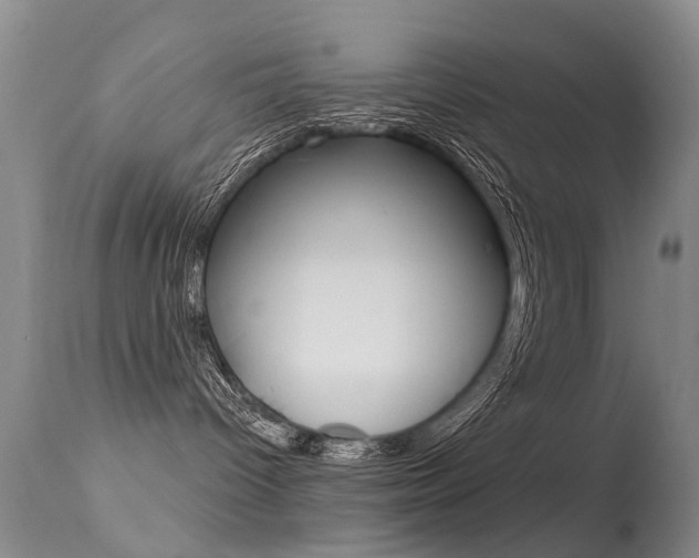 X0000113530096200909181010